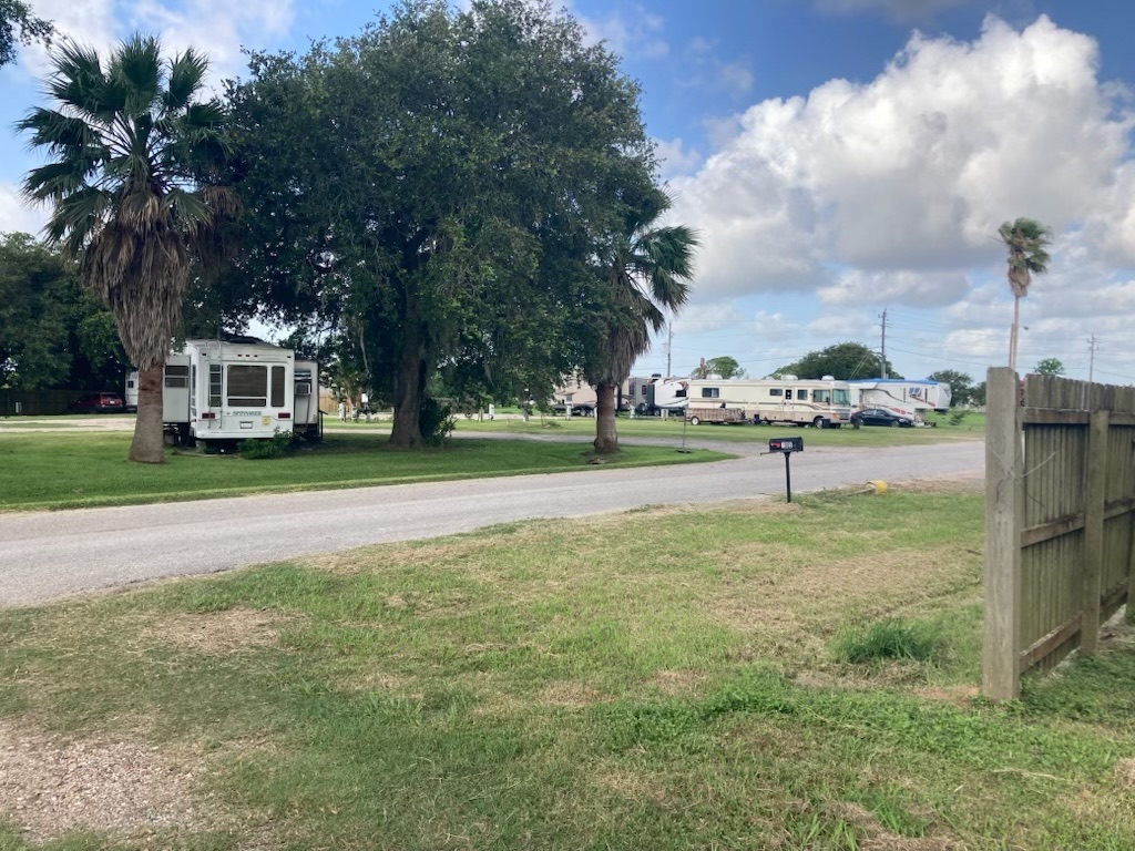 Palm-lined RV sites along the park lane at Windswept RV Park